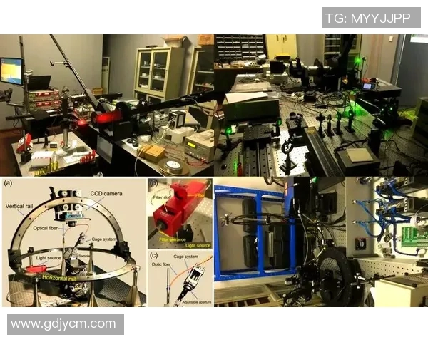 张昊：在科技与艺术交汇处的创新探索之路与未来展望