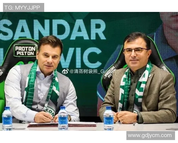 塞尔维亚与瑞士在积分榜上的对决分析与前景展望