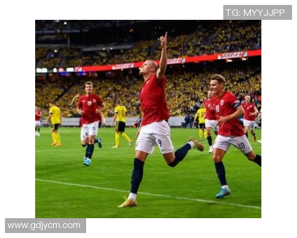 汉堡队与霍芬汉姆的精彩对决分析与赛季前景展望