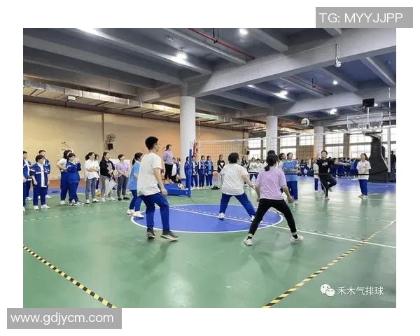 成都排球队的默契配合与战术探讨聚焦排球的团队精神与协作能力MBA