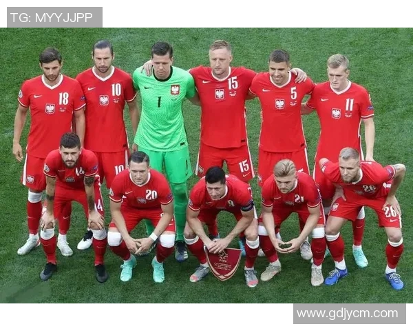 澳大利亚与希腊足球对决精彩比分揭晓分析与回顾 澳大利亚与希腊足球对决精彩比分揭晓分析与回顾