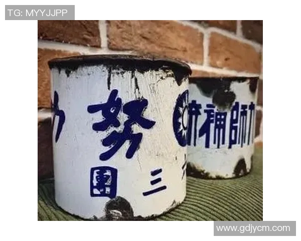 王少杰在新时代的奋斗历程与成就探索：从平凡到卓越的成长故事